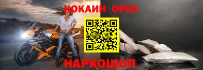ГАЛЛЮЦИНОГЕННЫЕ ГРИБЫ Кингисепп