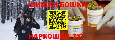 ГАЛЛЮЦИНОГЕННЫЕ ГРИБЫ Кингисепп