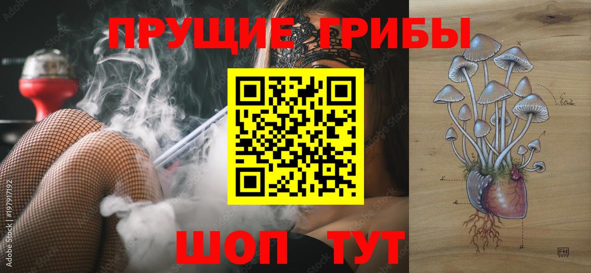 Киров  Псилоцибиновые грибы MAGIC MUSHROOMS  Вход с VPN 