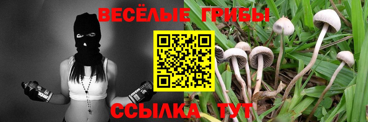 Псилоцибиновые грибы GOLDEN TEACHER Киров